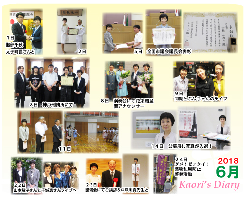 芦屋市議会議員 中島かおり-Official WebSite-